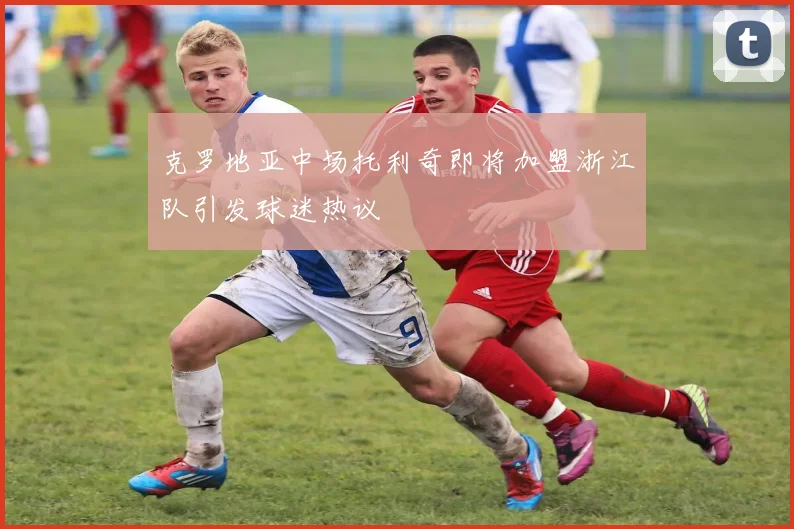 克罗地亚中场托利奇即将加盟浙江队引发球迷热议