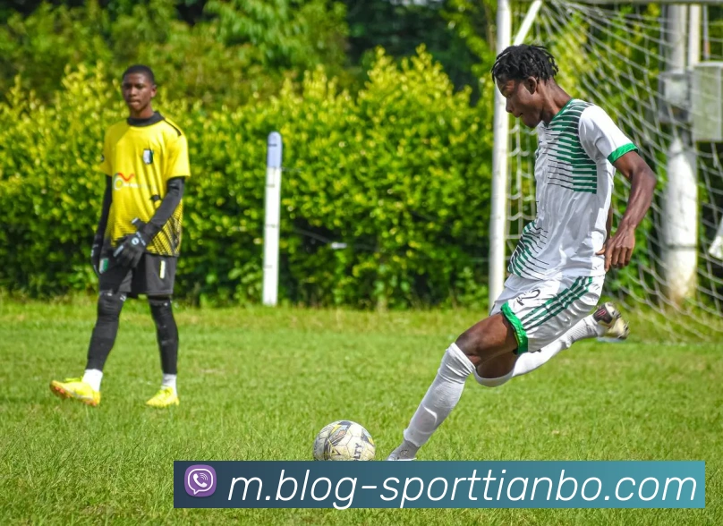 天博体育APP 封面图